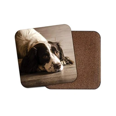 Image of 1 x Springer Spaniel Dog Coaster Puppy Cute Pretty Mum Sister Farm Fun #8725