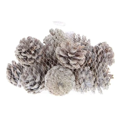 Image of Festive Productions Bag of Pinecones Decoration Grey Colour 200 Grams Christmas Pinecone Themed Décor Prop Perfect for Home, Kitchen, Living Room, Hanging