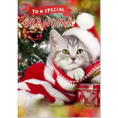 Image of doodlecards Grandma Christmas Card Cute Santa Paws Kitten Cat Pet Hat Large A4 Size for with Plain Envelope