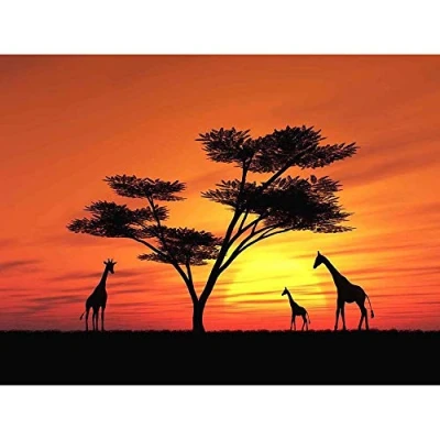 Image of Wee Blue Coo Photo Composition African Sun Silhouette Giraffe Art Print Poster Wall Decor 12X16 Inch