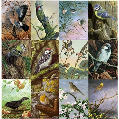 Image of Tirrito British birds notecards with envelopes by Dick Twinney