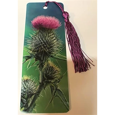 Image of sawley fine arts Scottish Thistle Lenticular Bookmark Ruler