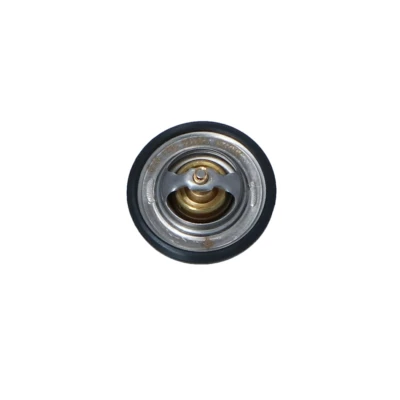 Image of 401911858 Engine thermostat NRF 725154 91C with seal ring without housing VAUXHALL: COMBO Mk2, Vectra Mk1 CC, Saloon, FORD: Escort 6