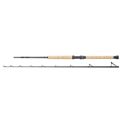 Image of Penn Regiment III Pro Boat rod 2.13m 20 30lb Sea fishing