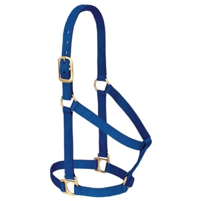 Image of Weaver Leather Basic Non Adjustable Nylon Horse Halter, Blue, 1&quot; Average
