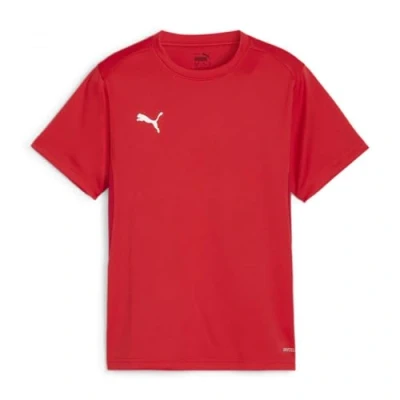 Image of PUMA teamGOAL Jersey Jr