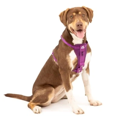 Image of Kurgo, Enhanced Strength Tru Fit Smart Harness for Dogs, Purple, Medium