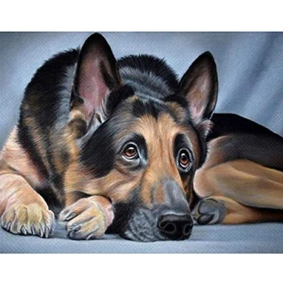 Image of YUNLINZI Paint by Numbers for Adults Children，Paint Children German shepherd dog 16x20 Inch Linen Canvas Acrylic DIY Number Painting Kits Wall Art Decor Gifts (Without Frame)
