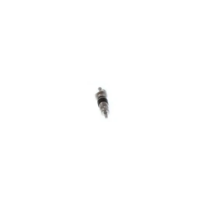 Image of Regin Schrader Valve Cores 10 Pack REGK33