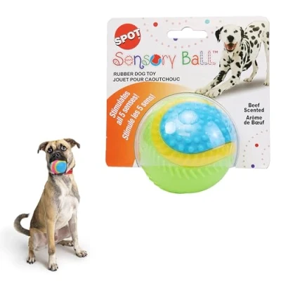 Image of SPOT Sensory Ball for Soft Chewers Stimulates All 5 Senses, Bell &amp; Squeaker Sounds, Raised Nubs Clean Teeth, High Contrast Fetch Toy, Beef Scented, Durable TPR Rubber Ball, 3.25 inch