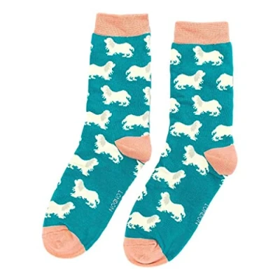 Image of Spaniels on Teal Ladies Novelty Ankle Socks Adult One Size