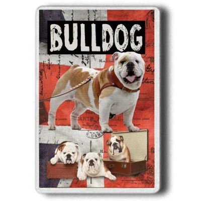 Image of English Bulldog Fridge MAGNET, Dog novelty gift, JUMBO SIZE Magnet