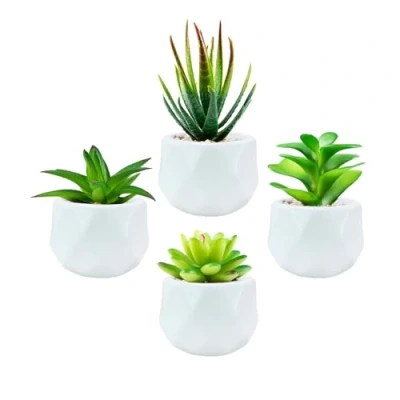 Image of Succulents Artificial Plants Indoors in Mini White Ceramic Pots, Fake Outdoor, Aesthetic Green Decor Faux Desk Plant for Bathroom, Bedroom,Living Room,Office,Shelf (White)