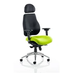 Image of Chiro Plus Ultimate with Headrest Bespoke Colour Seat Myrrh Green