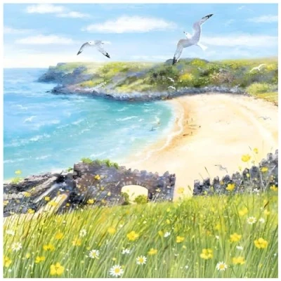 Image of Birthday/Blank Greeting Card for Him/Her Male/Female General Men/Women Beach Cove and Seagulls Artistic Design by Lucy Grossmith Made in the UK