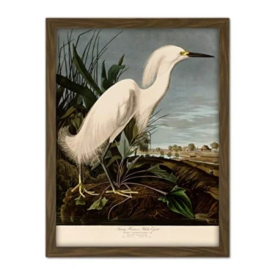 Image of Artery8 Audubon Birds Snowy Heron Painting Artwork Framed Wall Art Print 18X24 Inch