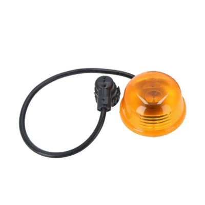 Image of 9418201021, 9418204021, A9418201021, A9418204021 Turn Signal DT Spare Parts 4.63553 both sides P21/5W 24V