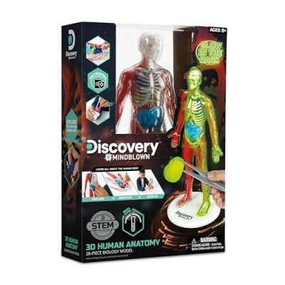 Image of Discovery Mindblown Human Anatomy Kit Glow In The Dark Teaching Resources, Body Model For Kids, Science 28 pcs