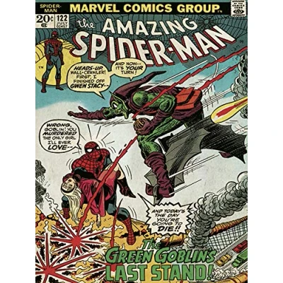Image of Pyramid International Spider Man (Green Goblin) Canvas Print 30 x 40cm, Wood, Multi Colour, 40 1.3 cm