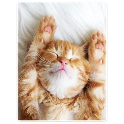 Image of Yisumei Blanket 75 x 100 cm Cuddly Blankets Soft Flannel Fleece Bed Throw Kitten Cat Sleep Yellow