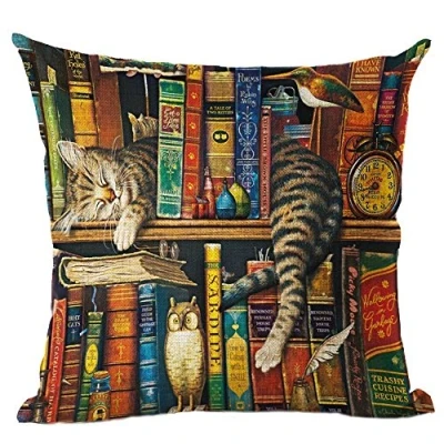 Image of IK HAPPY Bookshelf sleeping cat lkw1012 Decorative Cotton Linen Blend Throw Pillow Cover Square Case Cushion 18 x Inches Griffith.MJ