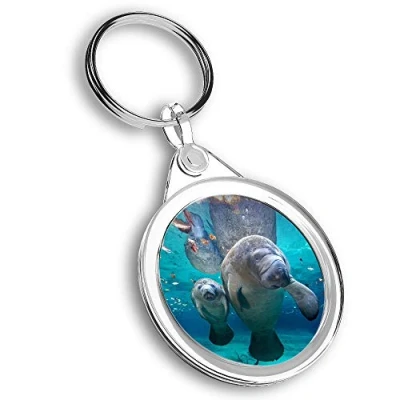 Image of Destination Vinyl ltd 1 x Photo Keyring Manatee Mum &amp; Baby Florida USA KeychainKeyringCharm #45663