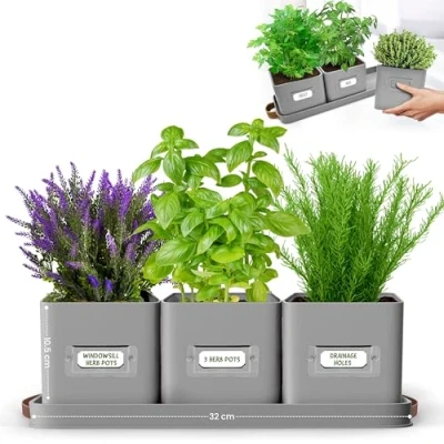 Image of Green Thumbz Herb Pots for Kitchen Windowsill Set of 3 Charcoal Grey Planter Indoor with Leather Handled Tray Ideal an Garden, Plants and Flowers Labels Included