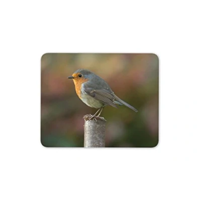 Image of Destination Vinyl ltd Pretty Robin Mouse Mat Pad Garden Bird Birds Gardening Computer #13116