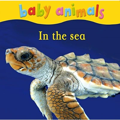 Image of Baby Animals: In the Sea