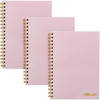Image of Pukka Pad, Carpe Diem 3 Pack B5 Hardcover Notebooks, 7 x 9.8 Inches Each, Ballerina Pink
