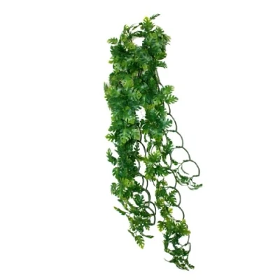 Image of Komodo Split Philodendron Plant, 40 cm