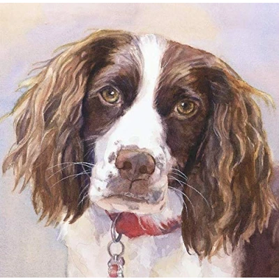 Image of DIY 5D Diamond Painting Kits Springer Spaniel Dog Full Drill Crystal Rhinestone Embroidery Pictures Arts for Home Wall Decor 30x40cm