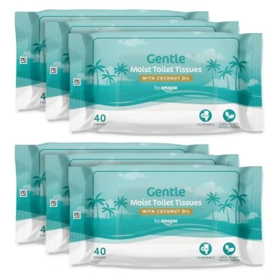 Image of By Amazon Gentle Moist Toilet Tissues with Coconut Oil, 240 Count (6 Packs of 40)