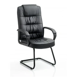 Image of Dynamic KC0151 Moore Visitor Cantilever Leather Chair Black