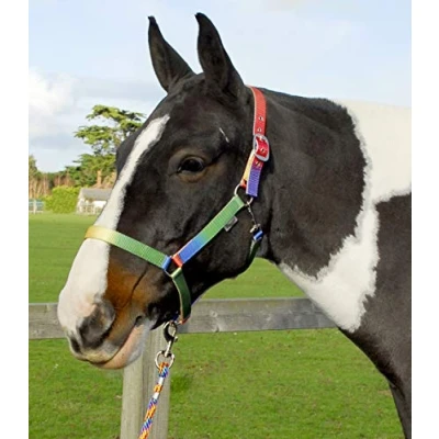 Image of Rhinegold rainbow Headcollar And Matching Rope Set, 330 c