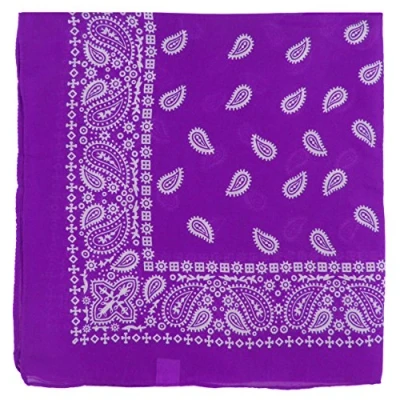 Image of Large Paisley Bandana Bikers Head SCARF Soft Lightweight 24&quot; x