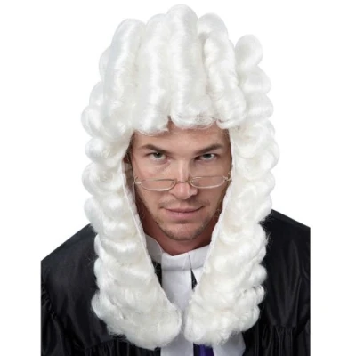 Image of Wicked Costumes High Court Judge Fancy Dress Wig