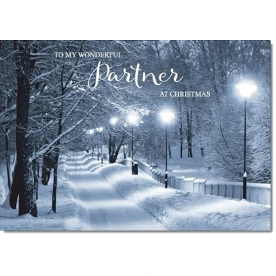 Image of doodlecards Partner Christmas Card Snowy Street Scene Medium Size for with Plain Envelope