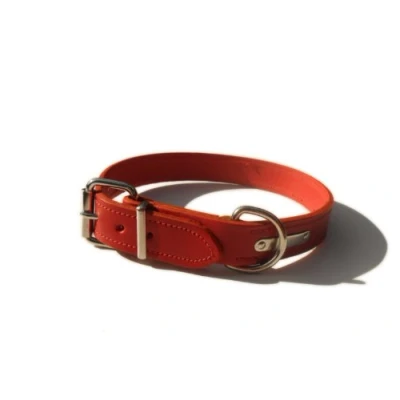 Image of Bridle Leather Dog Collar (Red, 24&quot; x 1 1/8&quot; (inches))