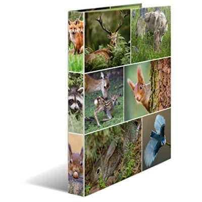 Image of HERMA Ring Binder Animals with Forest Motif, A4, 35 mm Spine, Slim 2 made of Cardboard