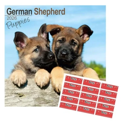 Image of German Shepherd Puppies Calendar 2025 with Organisational Stickers