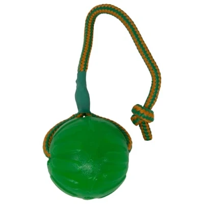 Image of Starmark Swing and Fling Chew Ball for Dogs, Greens