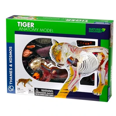 Image of Thames &amp; Kosmos Nature Discovery: Tiger Anatomy Model, Kids Science Kit, Learning Resources for Animal Anatomy, 3D Age 8+