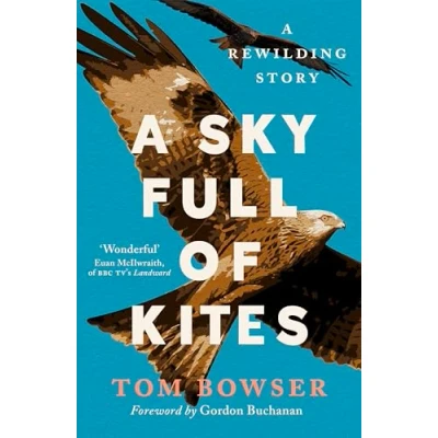 Image of A Sky Full of Kites: Rewilding Story