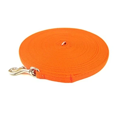 Image of Puppy Training Lead Small Dog Recall Obedience Leash 30ft (9m) in 13mm Strong Webbing (Orange)
