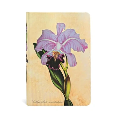 Image of Hardcover Journals, Brazilian Orchid, Unlined (Painted Botanicals)
