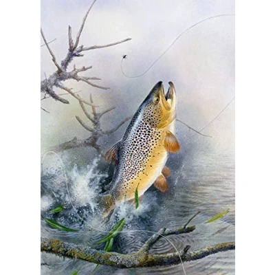 Image of Fly fishing greeting card. Leaping brown trout by Maurice Pledger