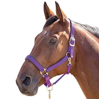 Image of Shires Topaz Nylon Pony/Horse Headcollar Purple Small Pony