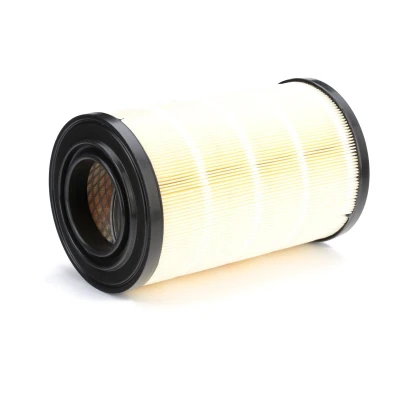 Image of 1310636080, 71736124, 71772194, K1310636080 Air Filter BOSCH 1 457 433 790 286mm 172mm Insert FIAT: Ducato II Platform/Chassis