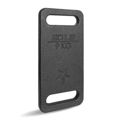 Image of Yes4All ZXSV Cast Iron Rucking Weight Plate for Backpack, 9 KG 20 POUND
